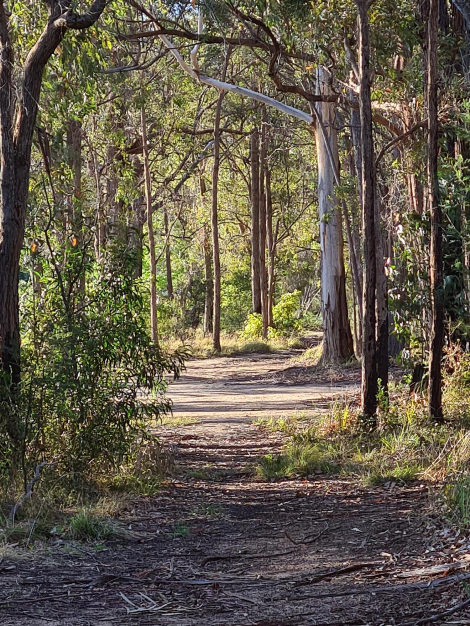 Mallacoota'S Shady Gully Caravan Park エクステリア 写真
