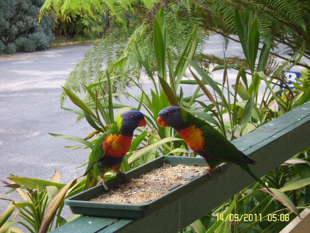 Mallacoota'S Shady Gully Caravan Park エクステリア 写真